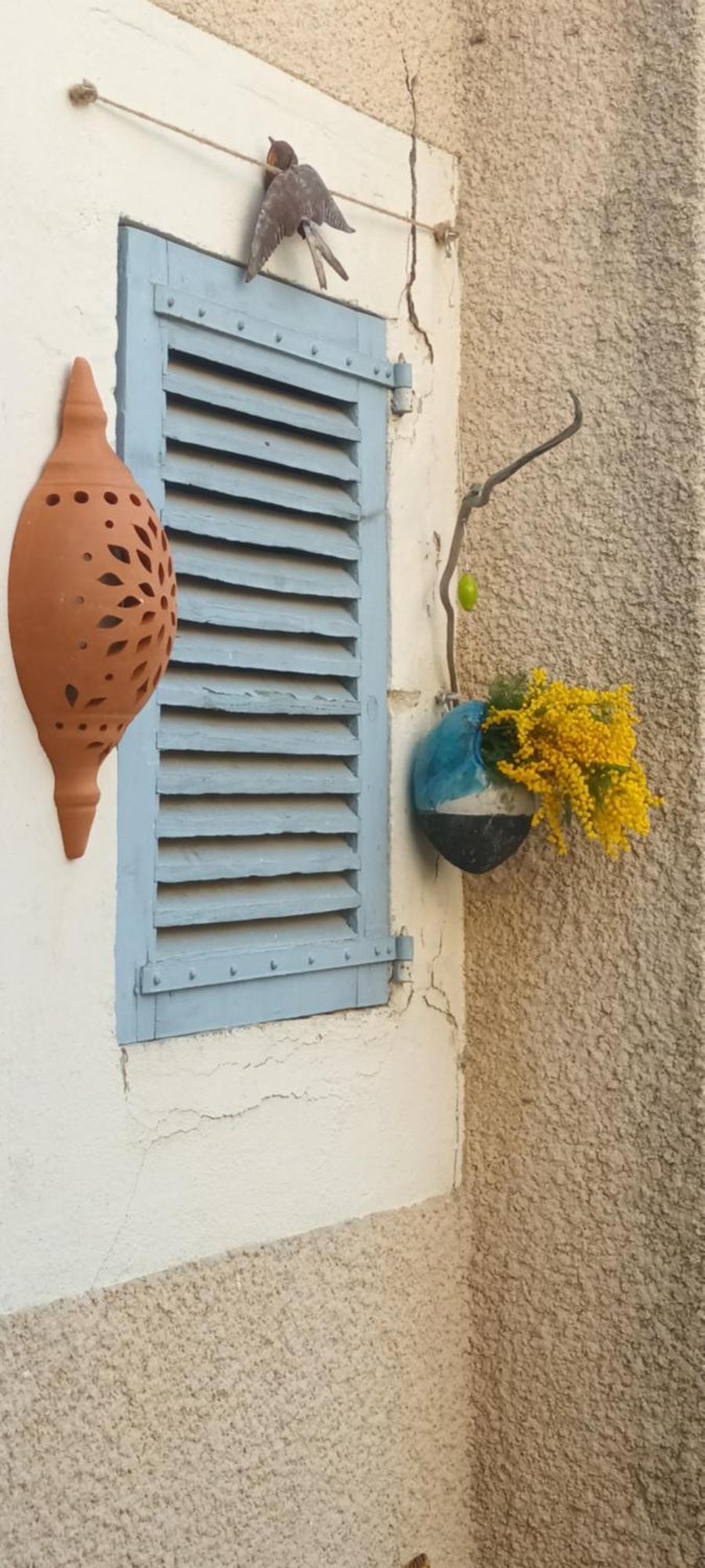 Maison Rulman Nîmes Zewnętrze zdjęcie